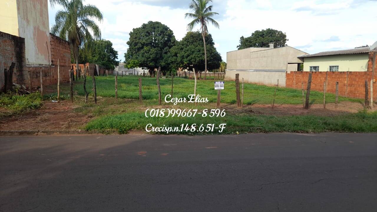 #58 - Área para Venda em Andradina - SP