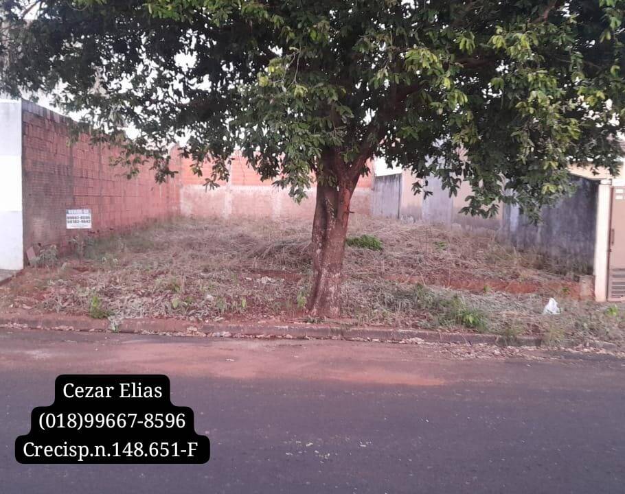 #76 - Área para Venda em Andradina - SP
