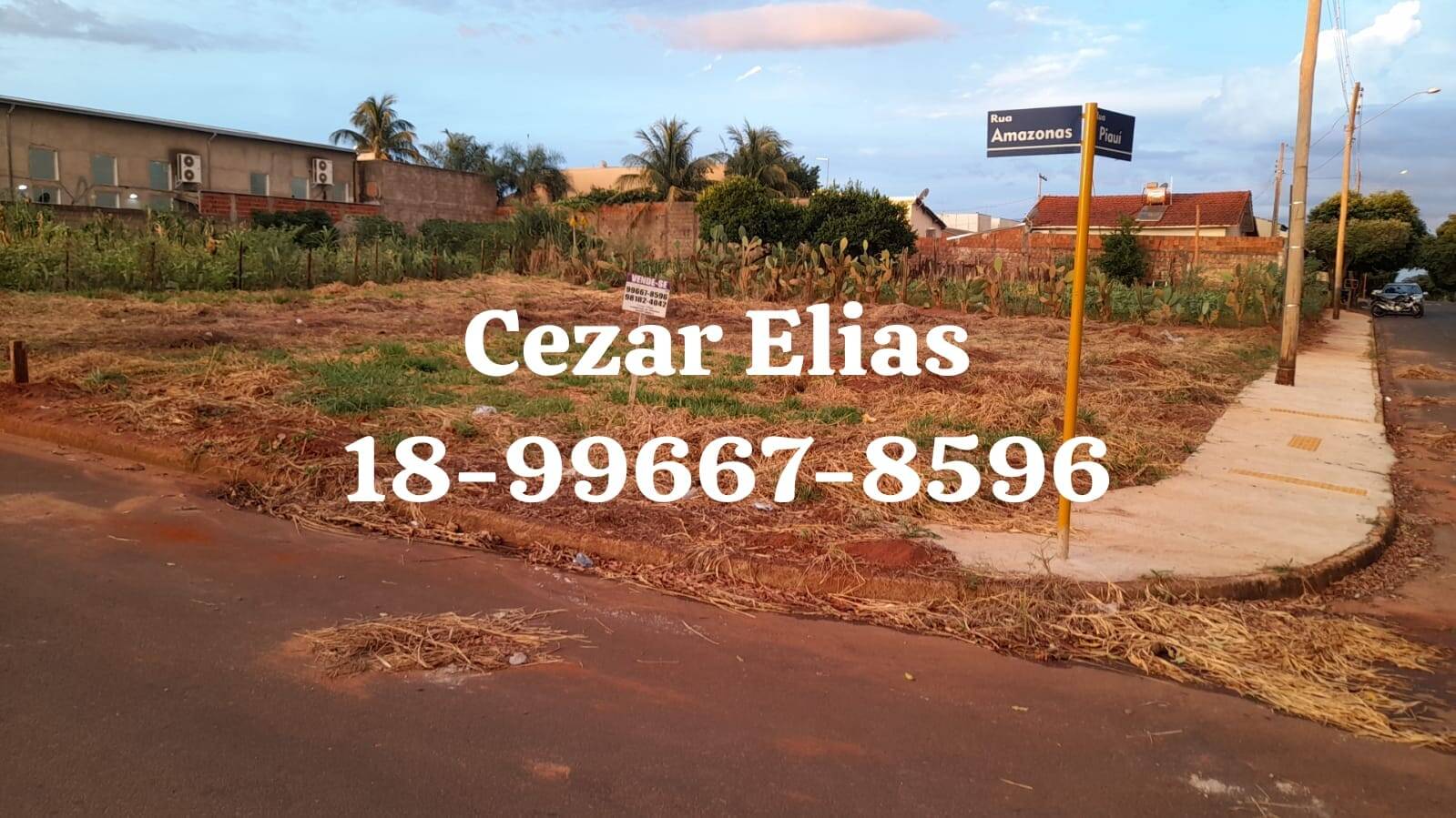 #117 - Área para Venda em Andradina - SP