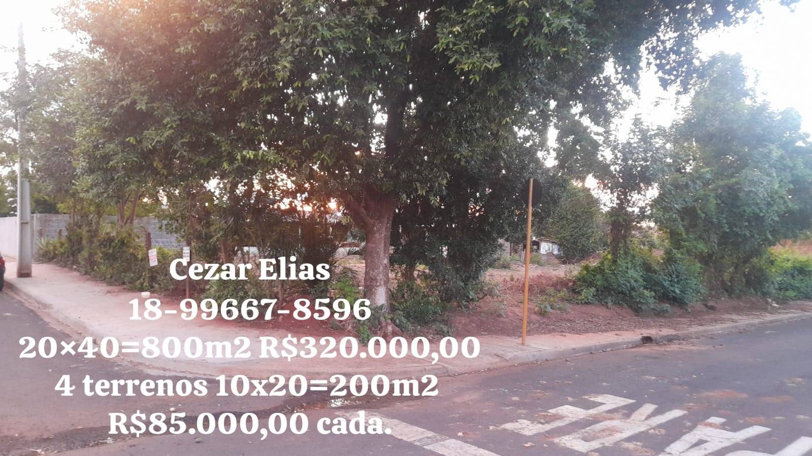 #142 - Área para Venda em Andradina - SP