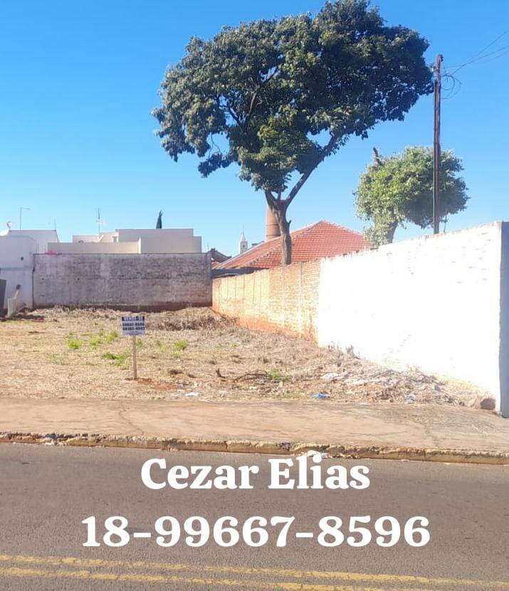 #169 - Área para Venda em Andradina - SP