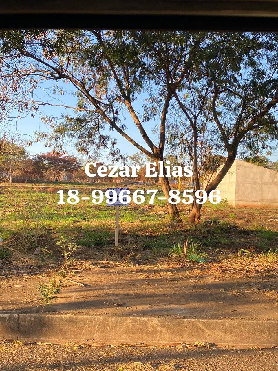 #170 - Área para Venda em Andradina - SP