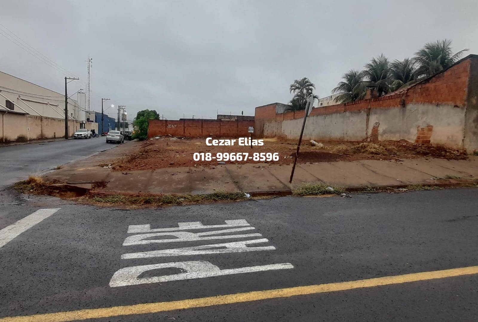 #186 - Área para Venda em Andradina - SP