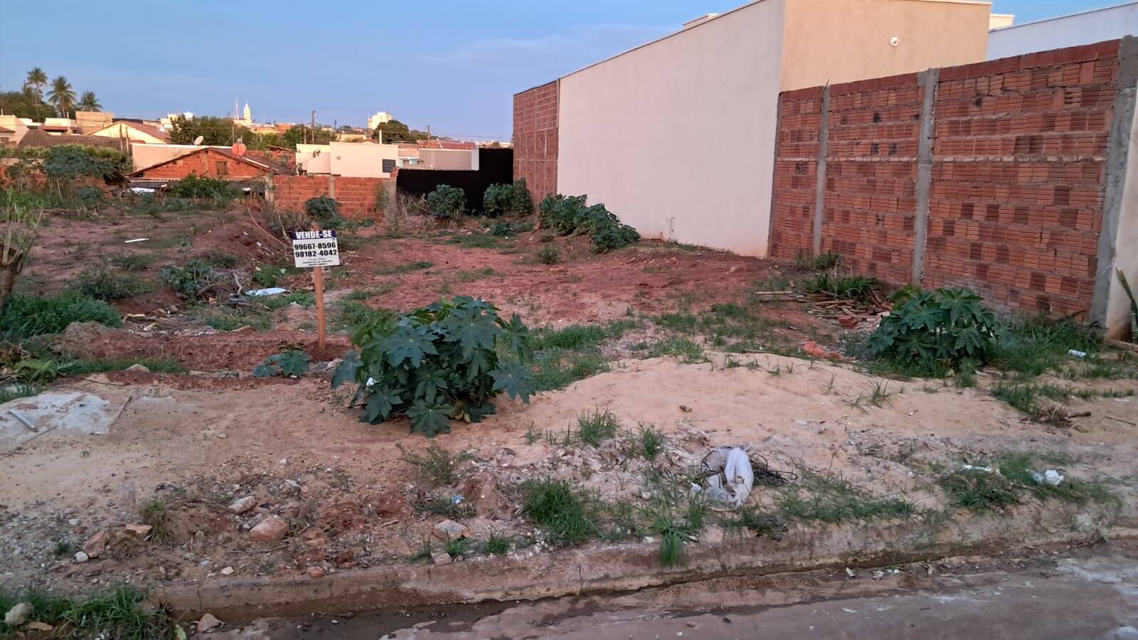 #196 - Área para Venda em Andradina - SP