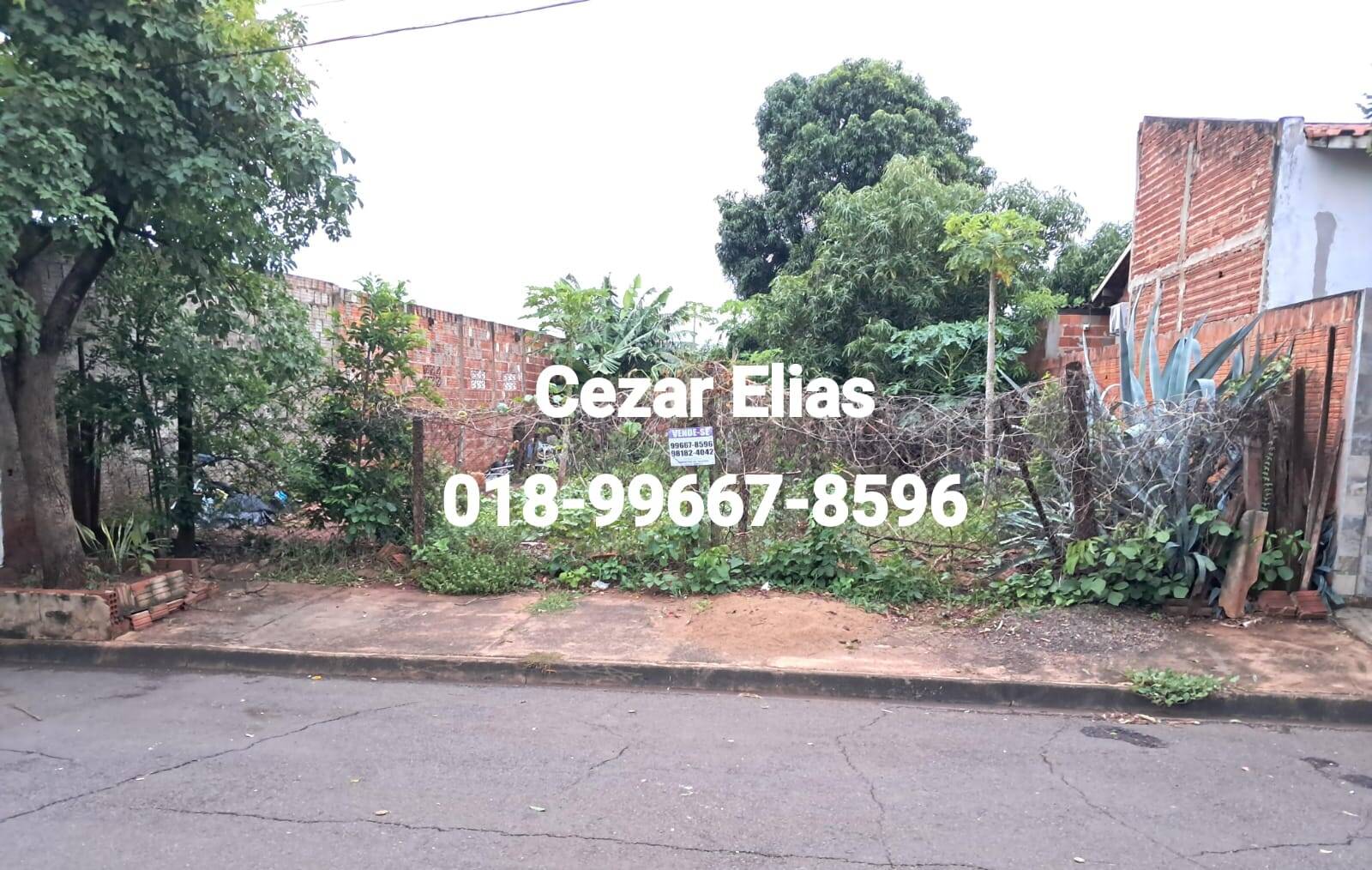 #208 - Área para Venda em Andradina - SP