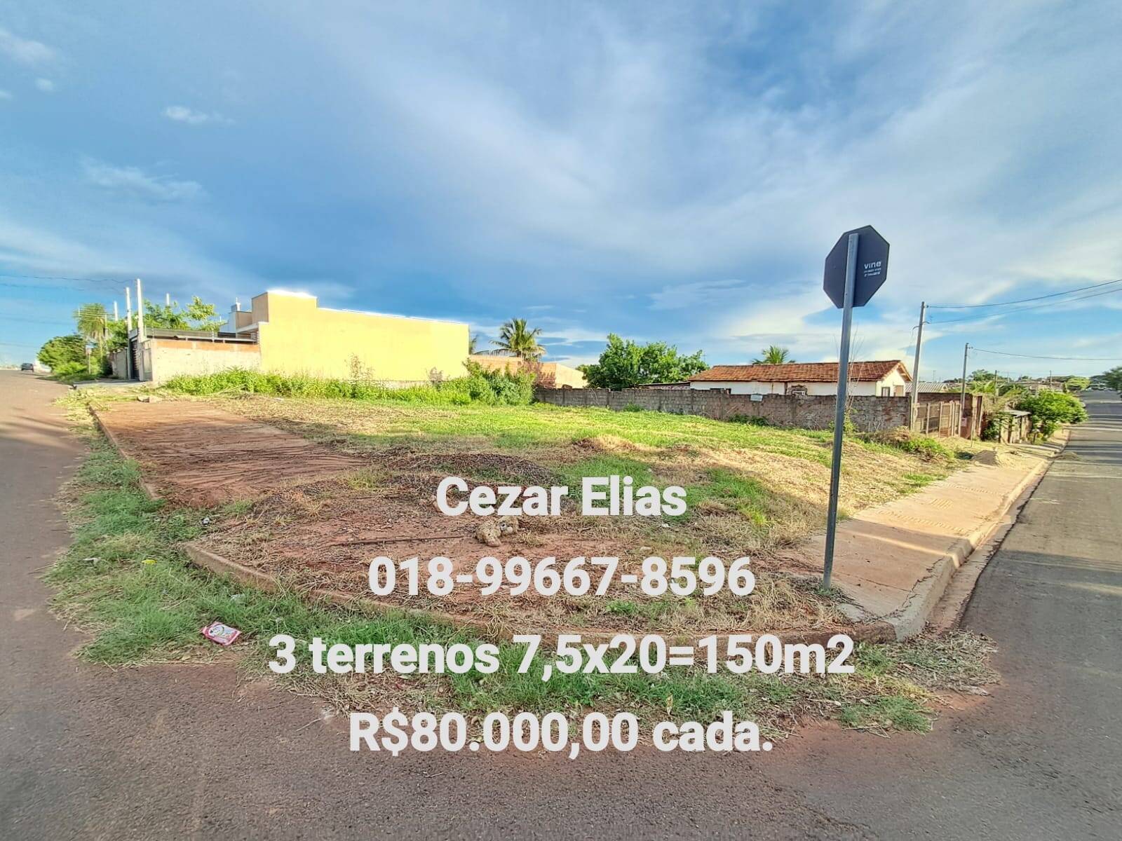 #224 - Área para Venda em Andradina - SP