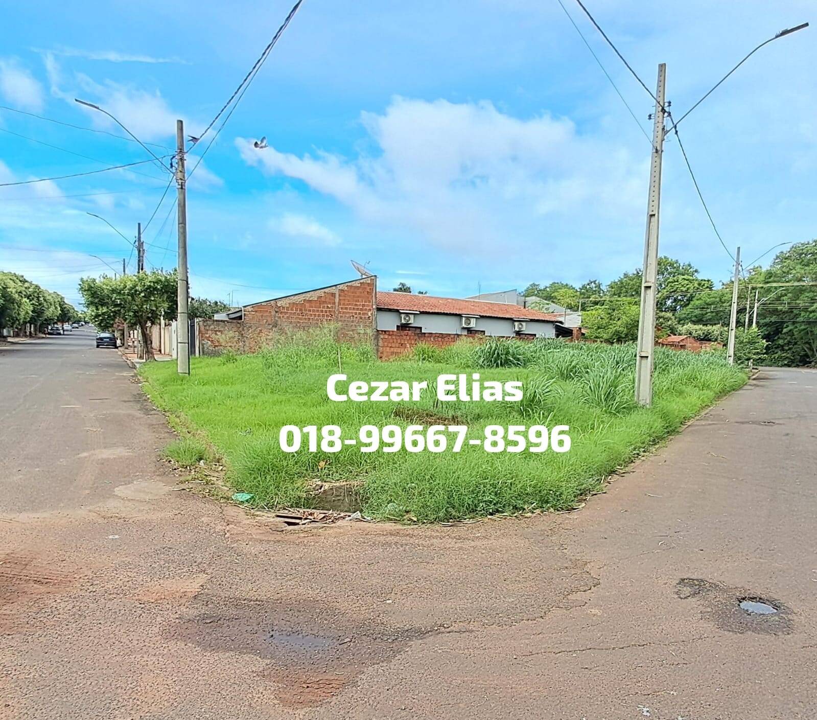 #229 - Área para Venda em Andradina - SP