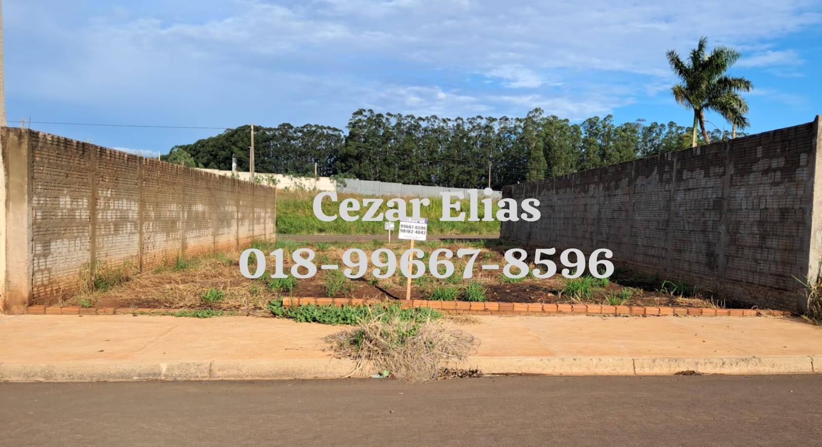 #242 - Área para Venda em Andradina - SP