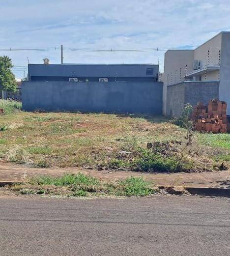 #247 - Área para Venda em Andradina - SP