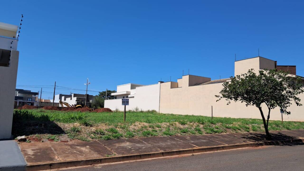 #255 - Área para Venda em Andradina - SP