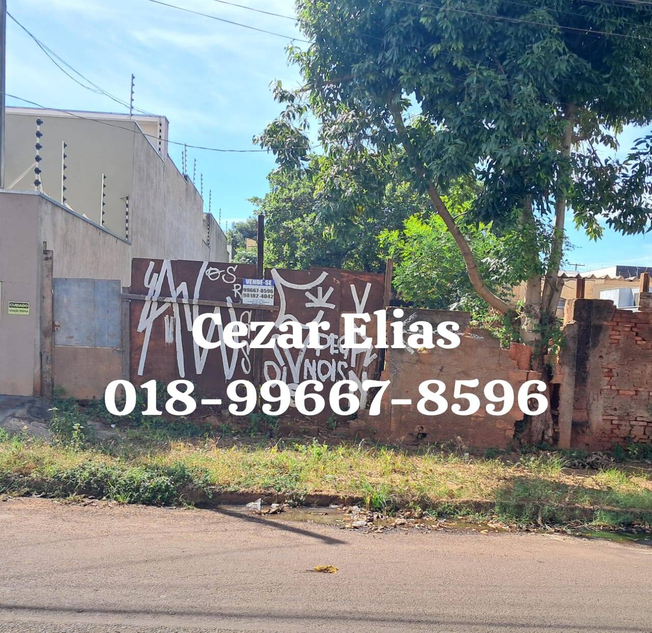 #254 - Área para Venda em Andradina - SP