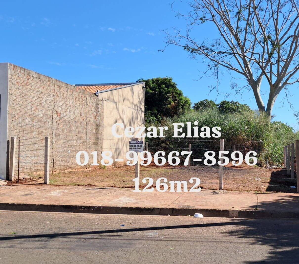 #258 - Área para Venda em Andradina - SP