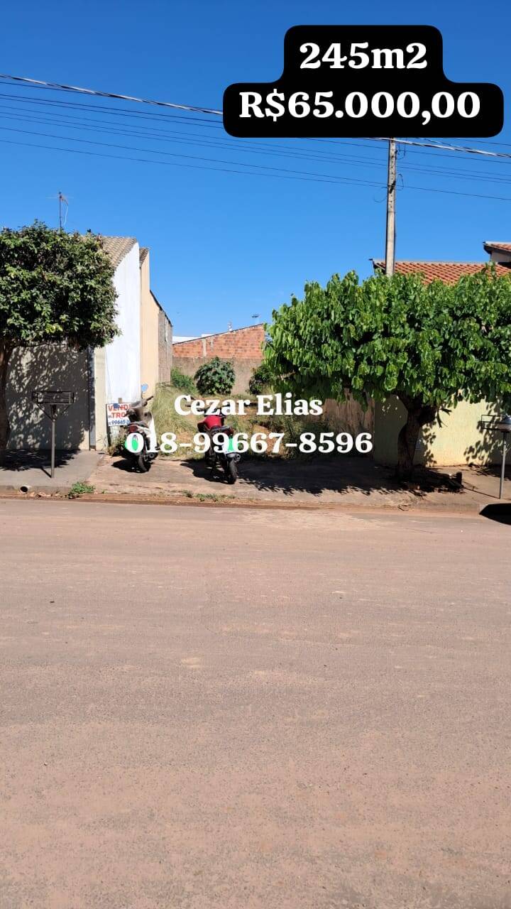 #260 - Área para Venda em Andradina - SP