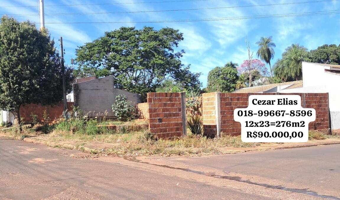 #266 - Área para Venda em Andradina - SP