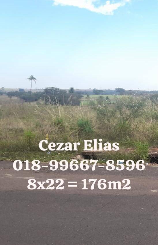 #269 - Área para Venda em Andradina - SP