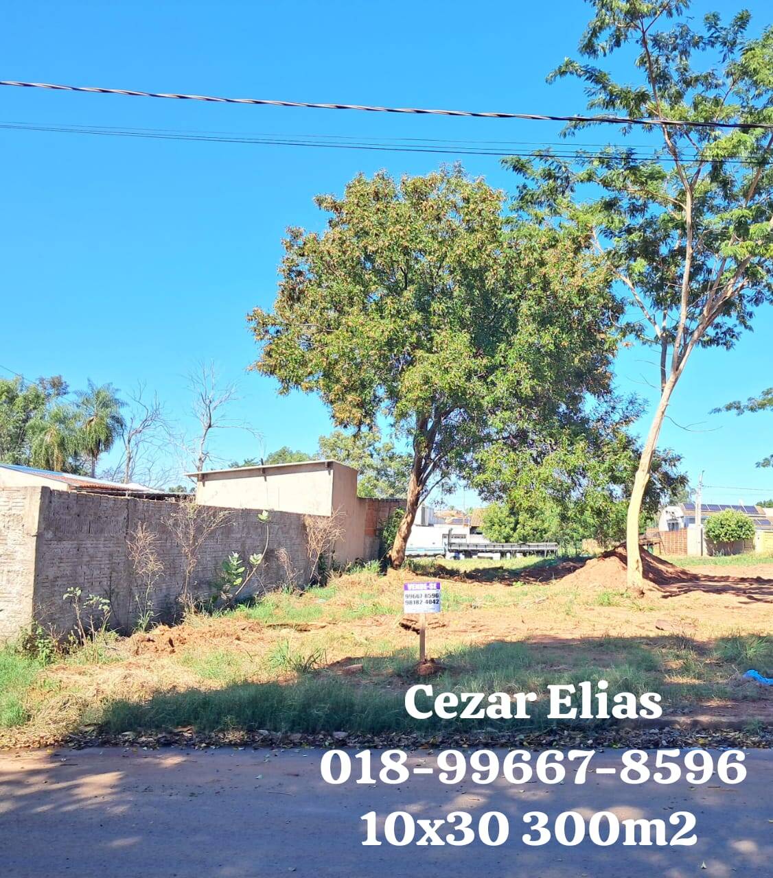 #272 - Área para Venda em Andradina - SP