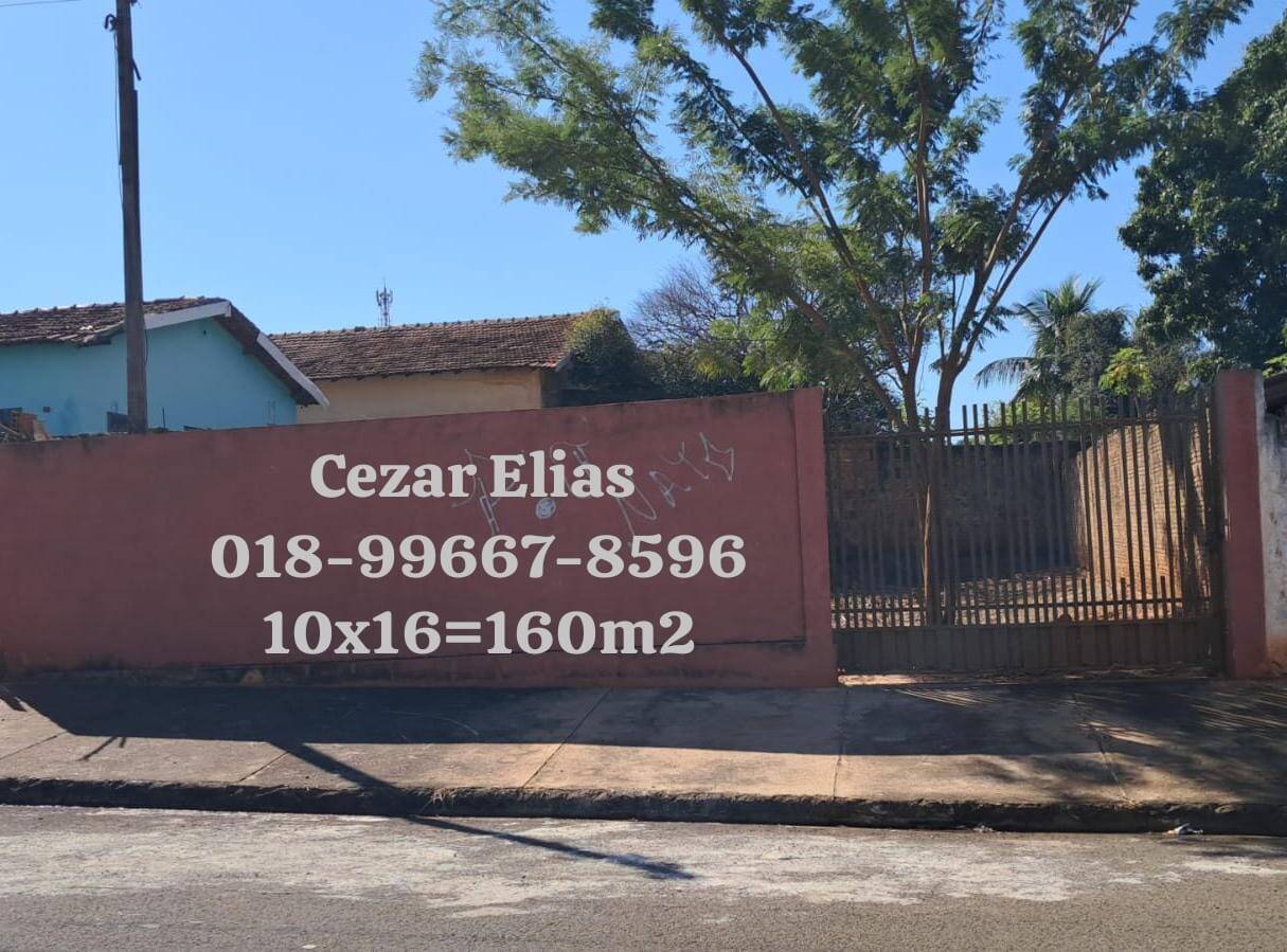 #274 - Área para Venda em Andradina - SP