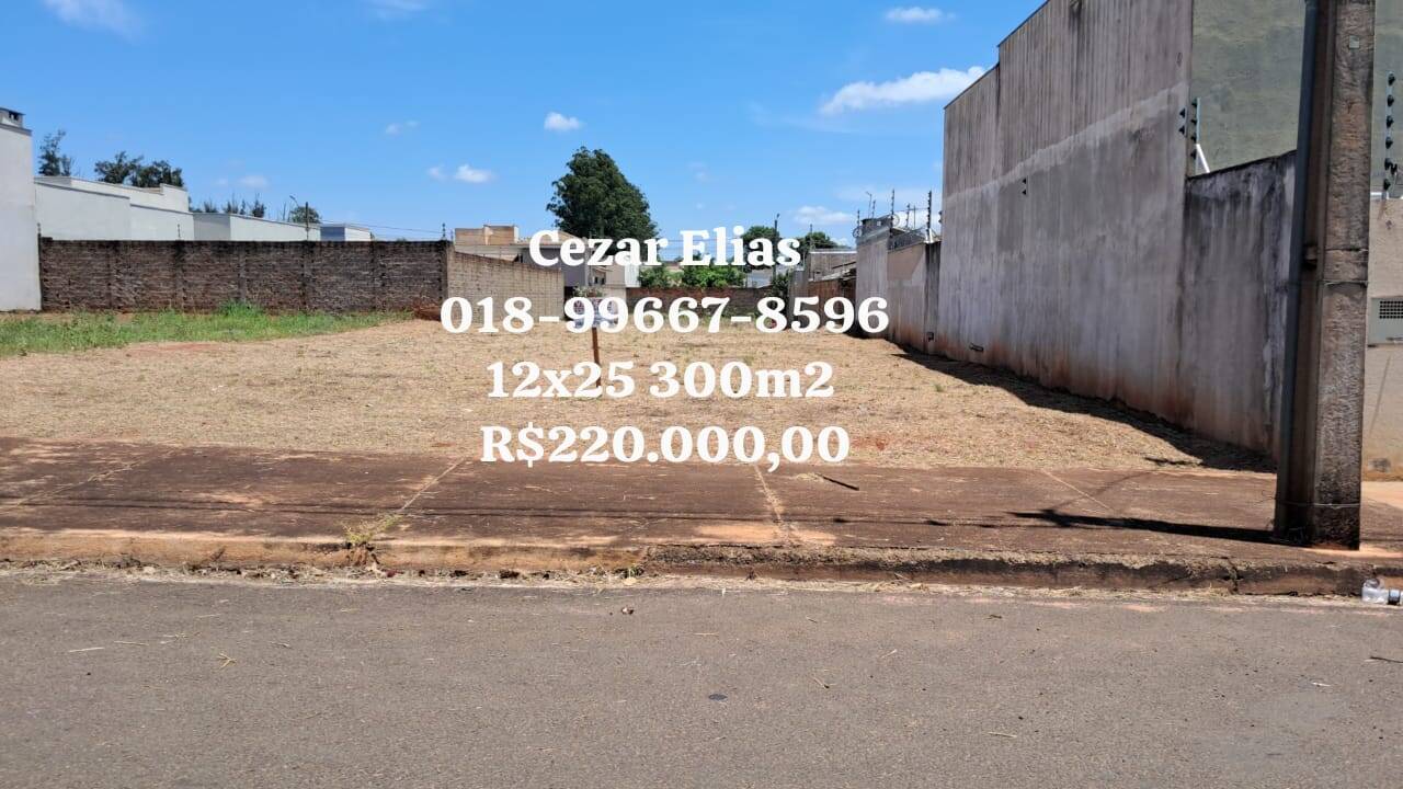 #293 - Área para Venda em Andradina - SP