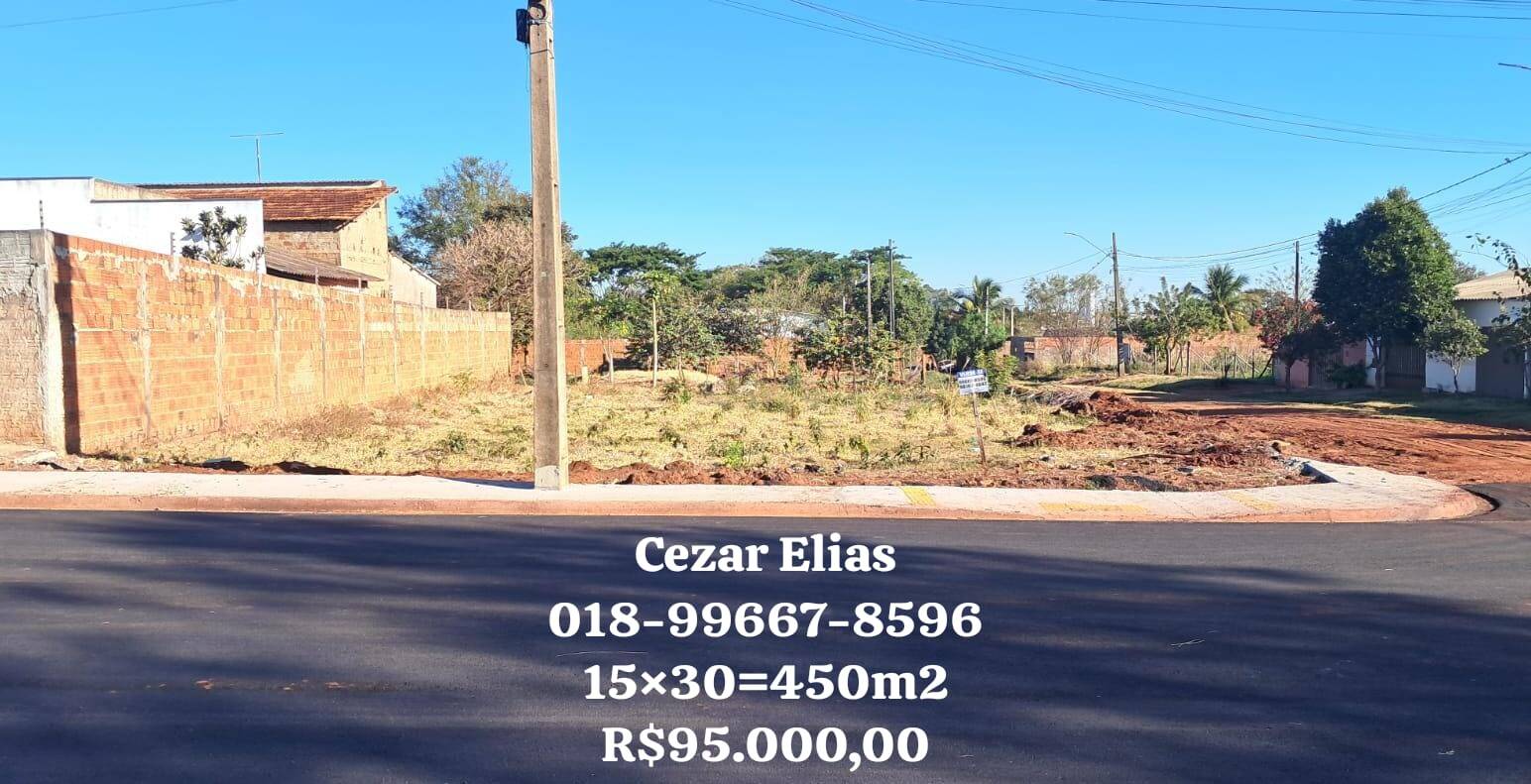 #289 - Área para Venda em Andradina - SP