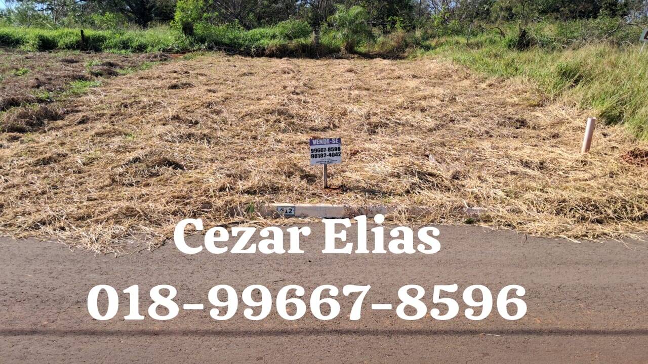 #300 - Área para Venda em Andradina - SP