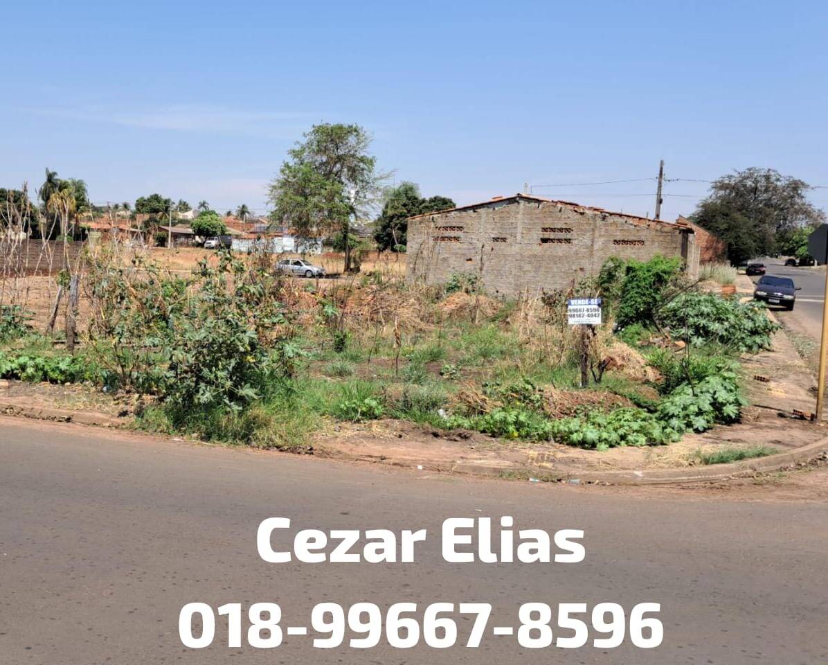 #307 - Área para Venda em Andradina - SP