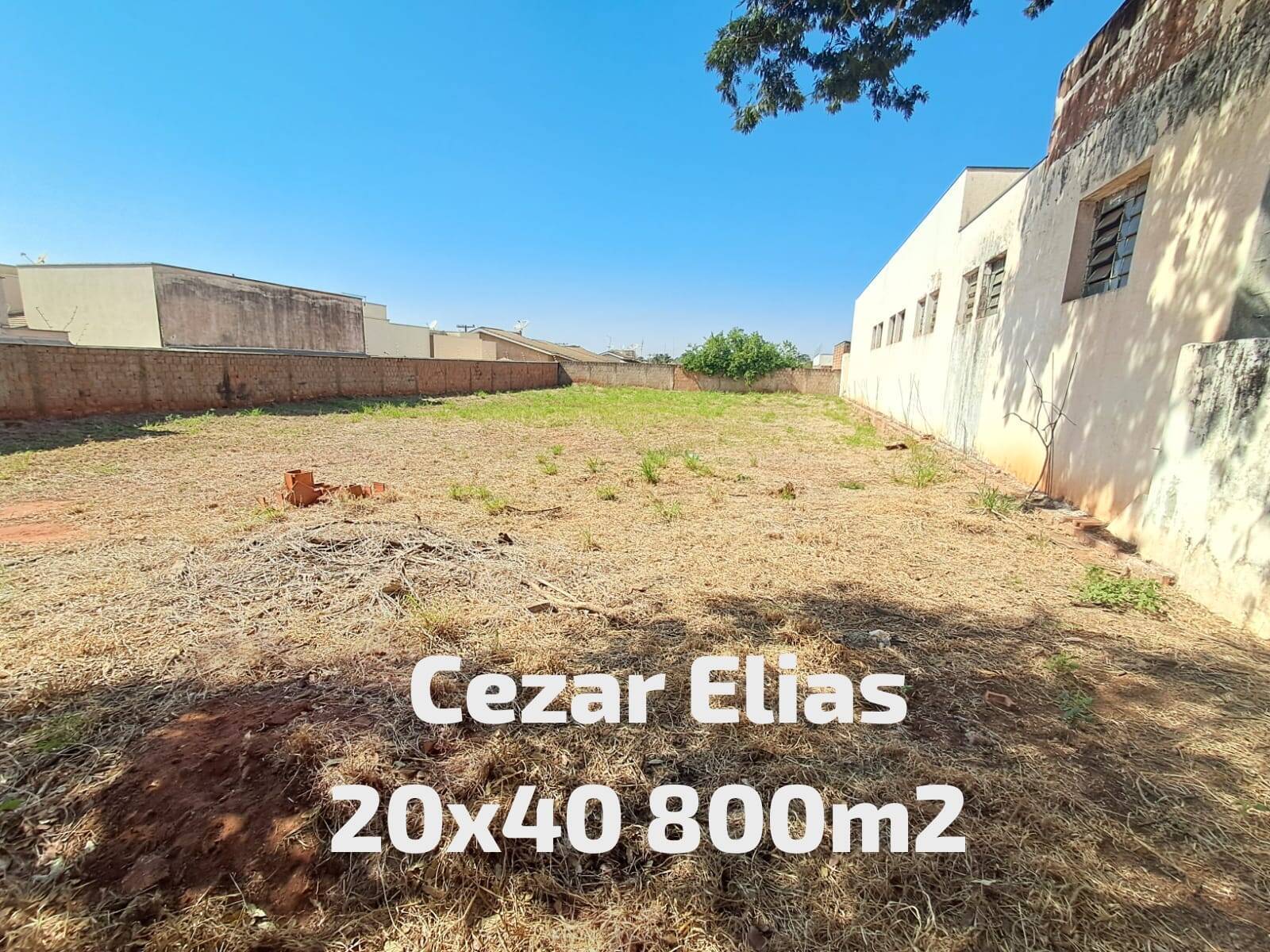 #310 - Área para Venda em Andradina - SP