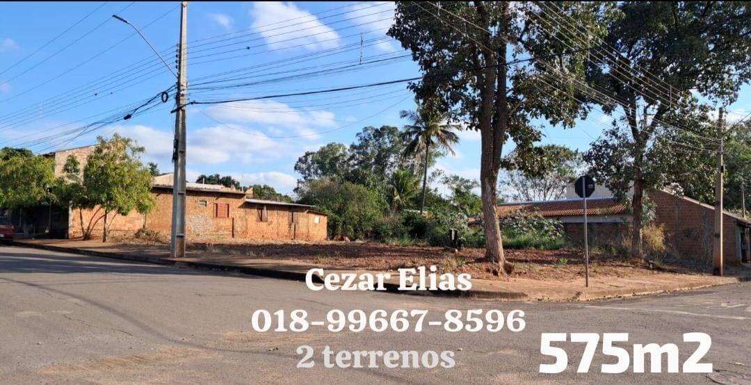 #278 - Área para Venda em Andradina - SP