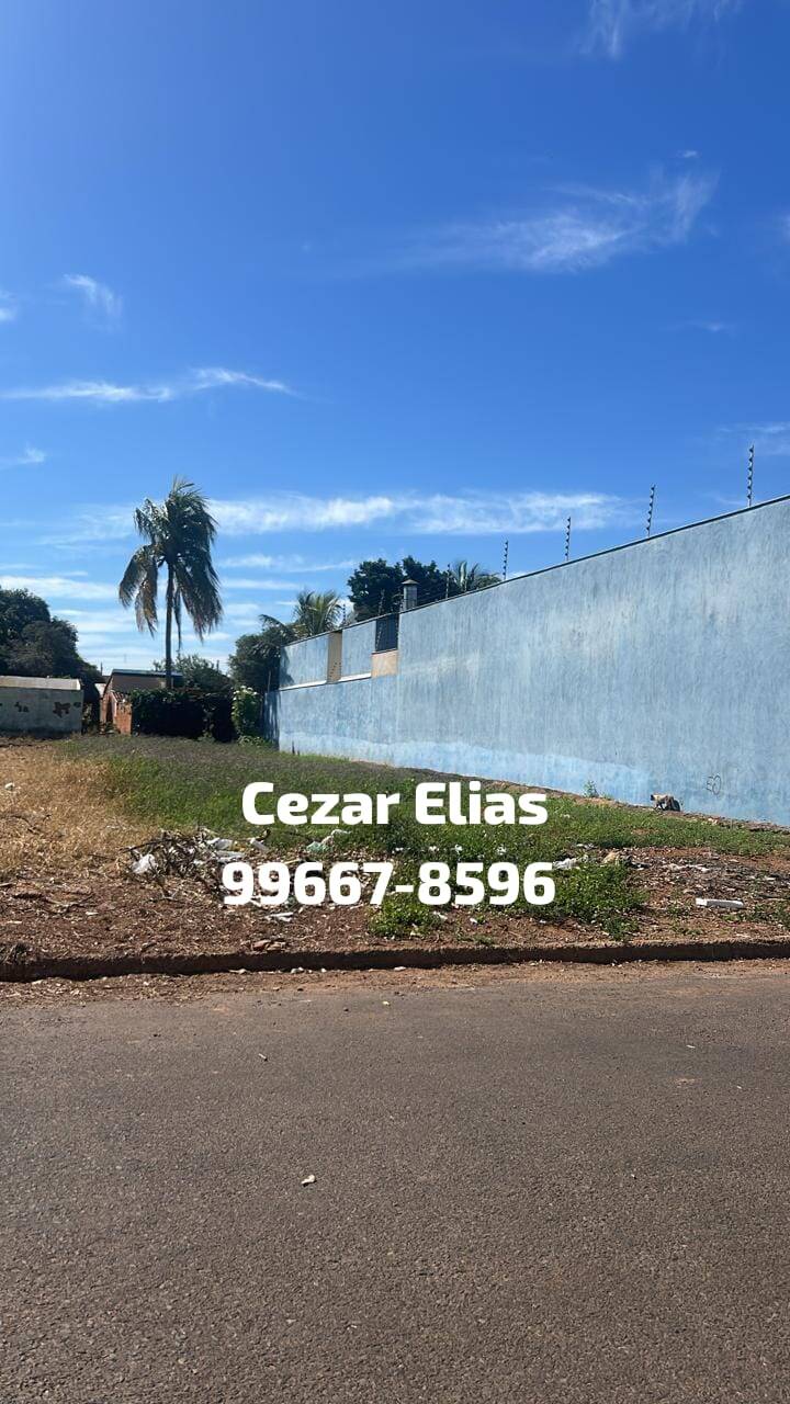 #331 - Área para Venda em Andradina - SP
