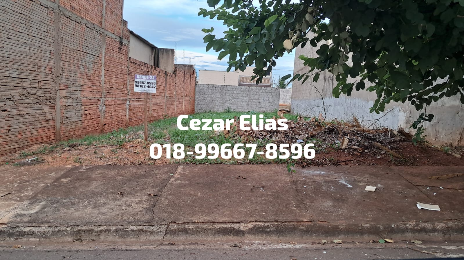 #349 - Área para Venda em Andradina - SP