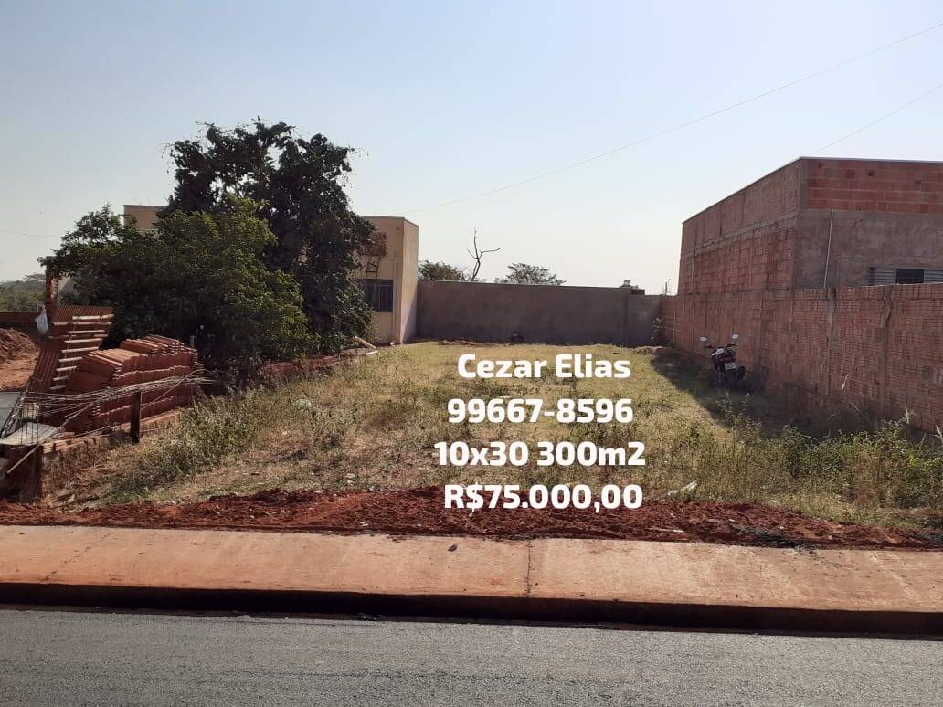 #372 - Área para Venda em Andradina - SP