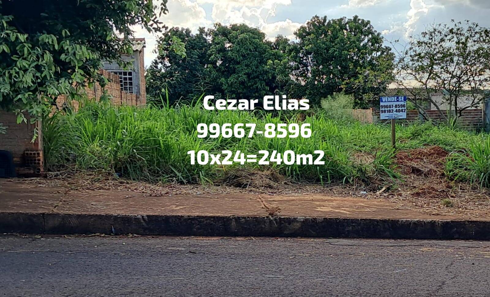 #377 - Área para Venda em Andradina - SP