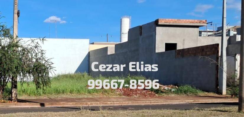 #381 - Área para Venda em Andradina - SP