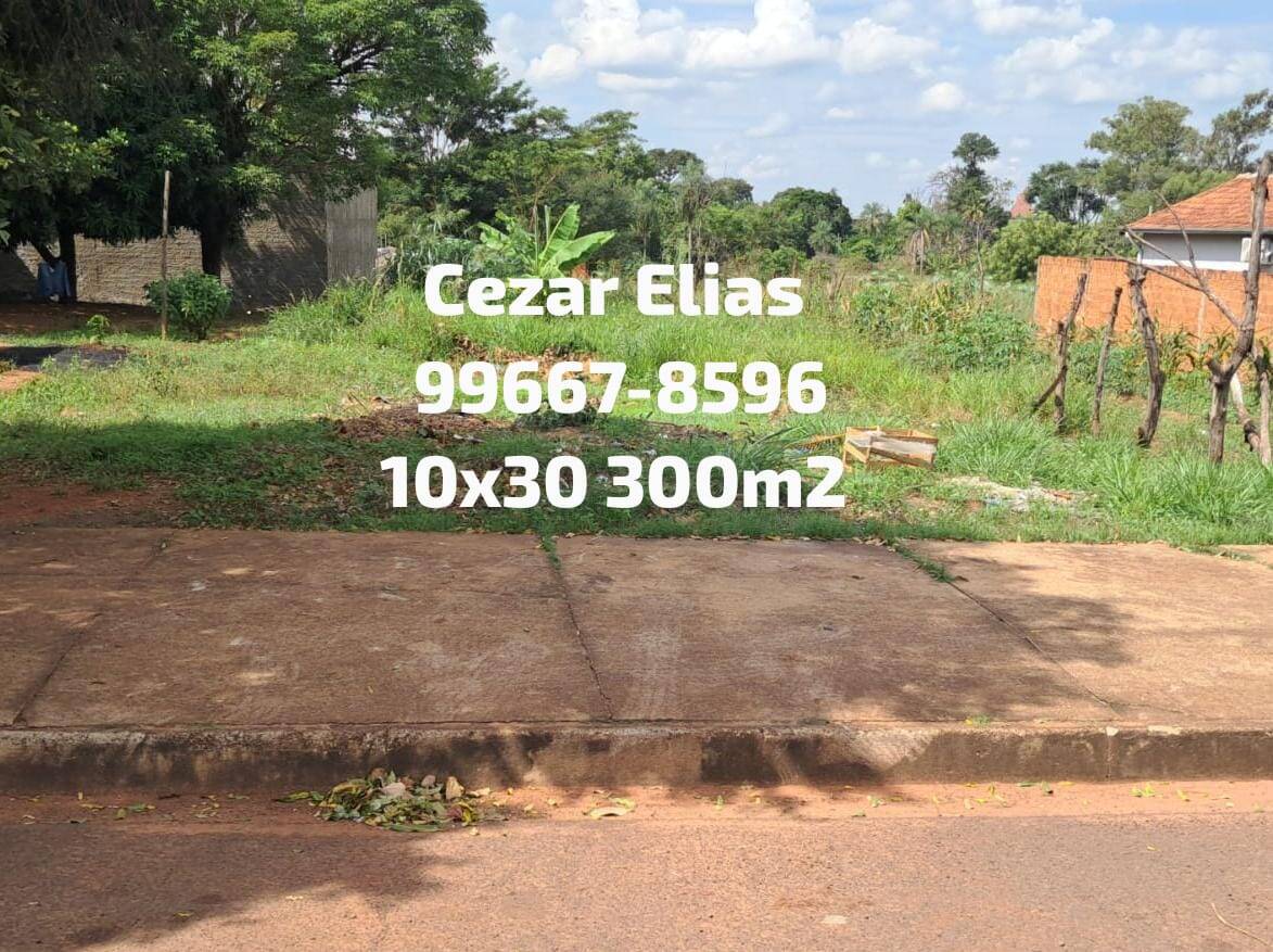 #382 - Área para Venda em Andradina - SP