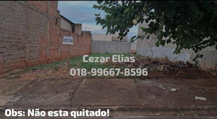 #349 - Área para Venda em Andradina - SP