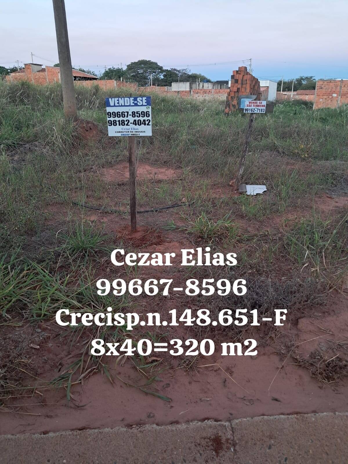 #409 - Área para Venda em Andradina - SP