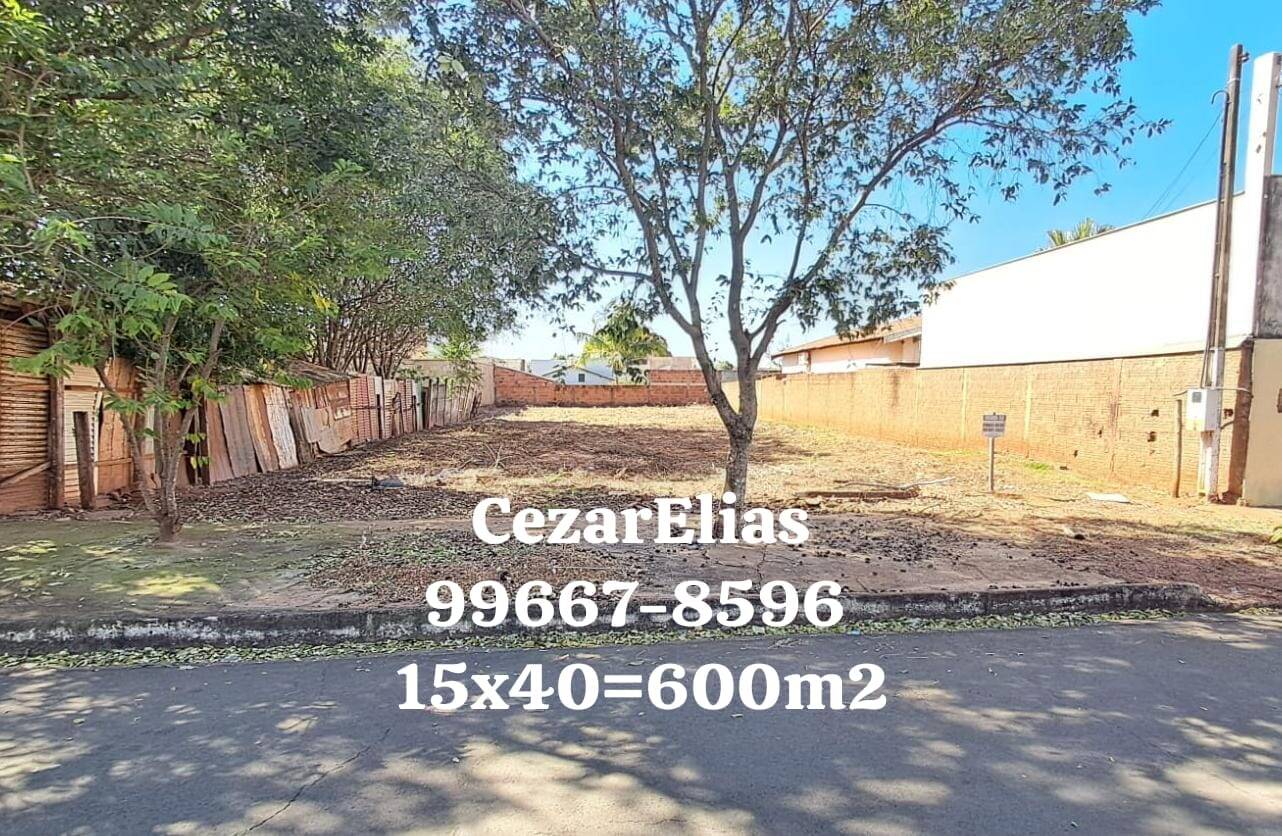 #411 - Área para Venda em Andradina - SP