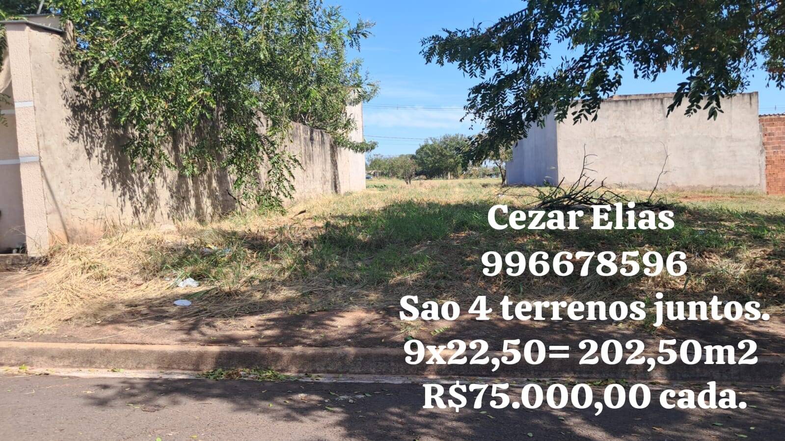 #416 - Área para Venda em Andradina - SP