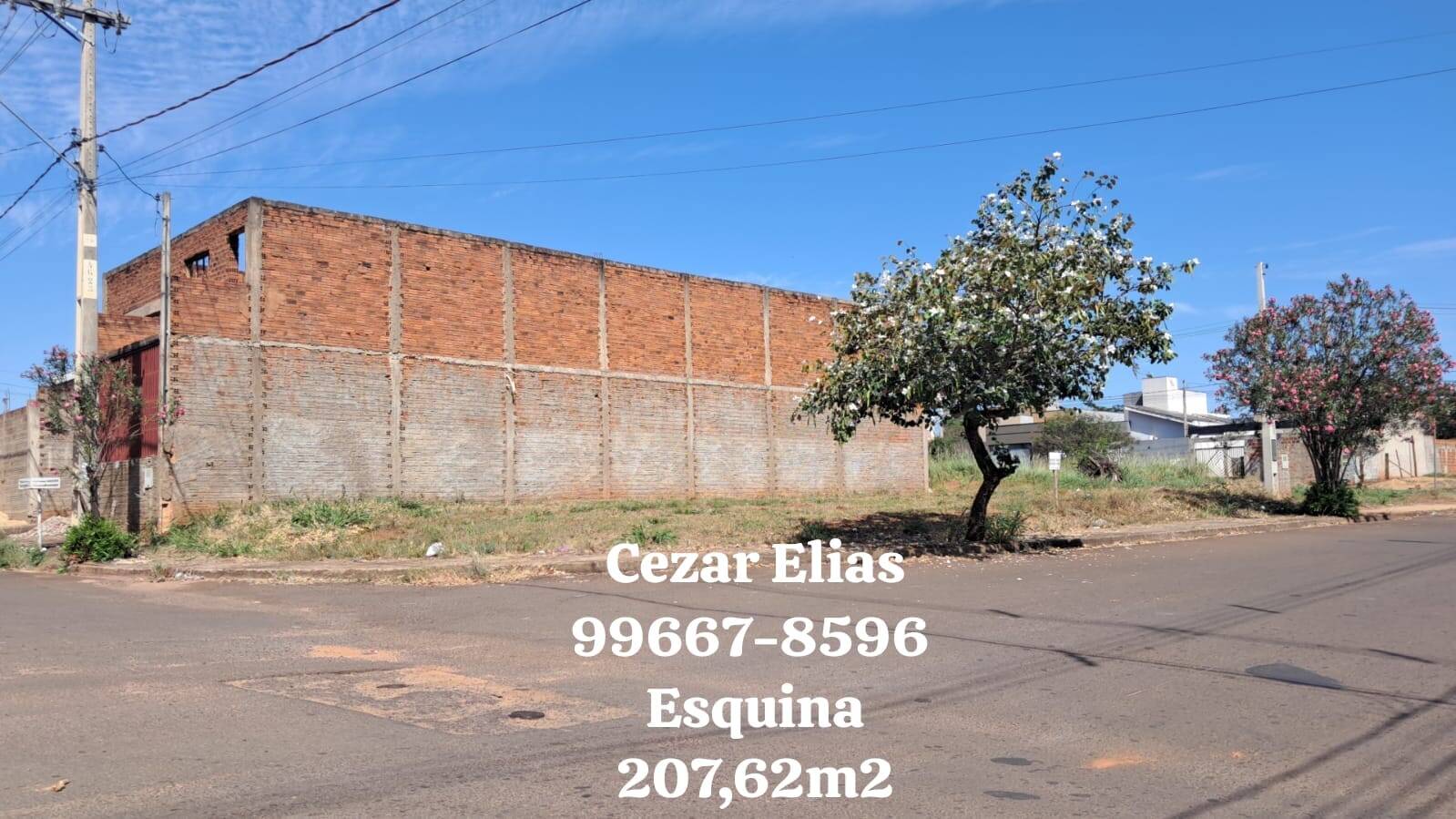 #417 - Área para Venda em Andradina - SP