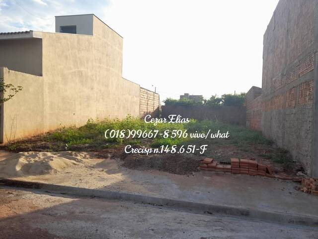 #36 - Área para Venda em Andradina - SP