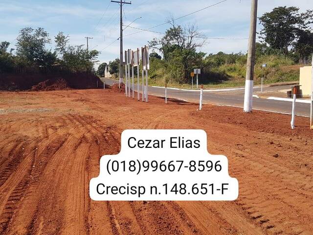 #74 - Área para Venda em Andradina - SP