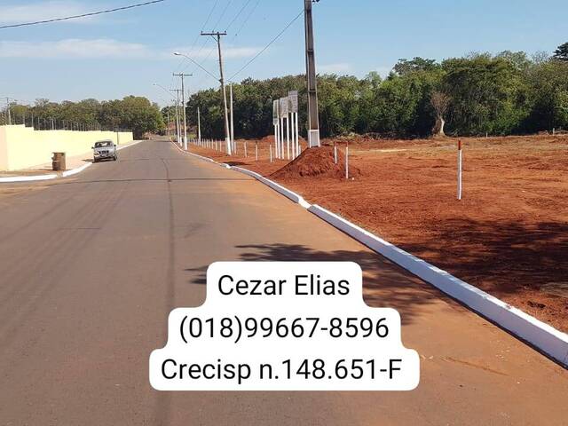 #74 - Área para Venda em Andradina - SP