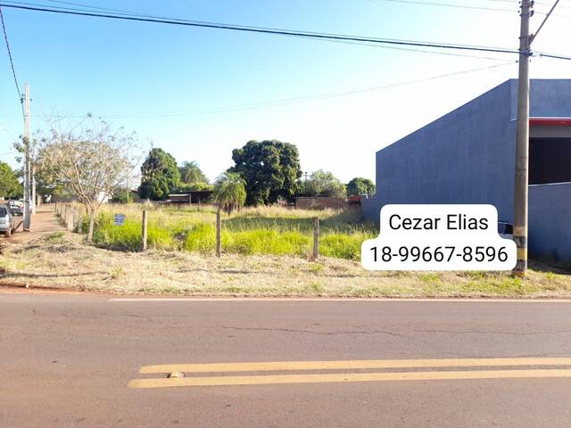 #100 - Área para Venda em Andradina - SP - 1