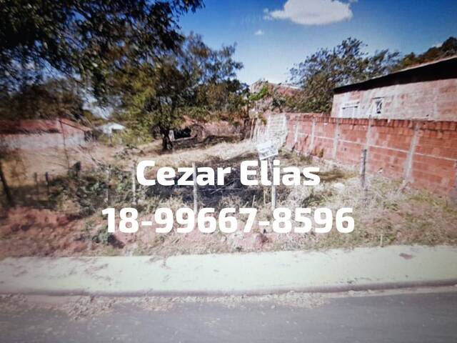 #116 - Área para Venda em Andradina - SP - 1