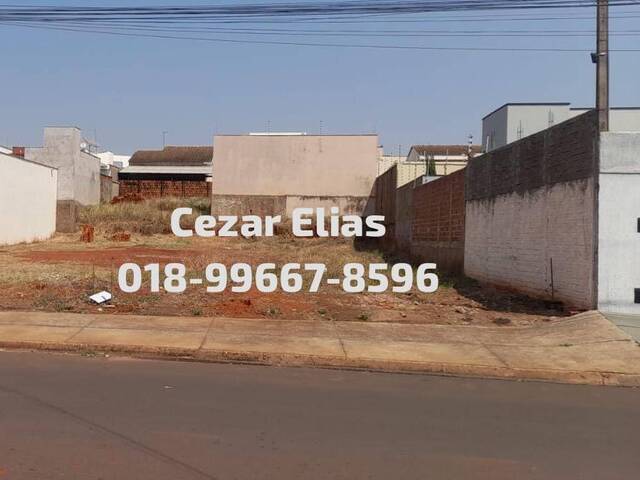 #122 - Área para Venda em Andradina - SP - 1