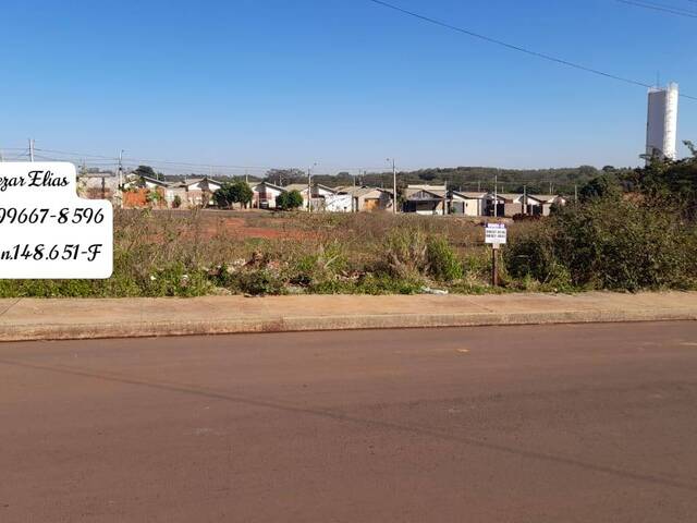 #139 - Área para Venda em Andradina - SP - 1