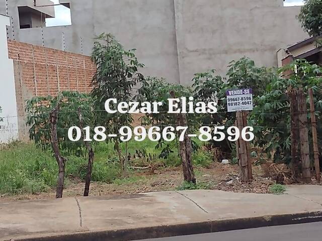 #148 - Área para Venda em Andradina - SP