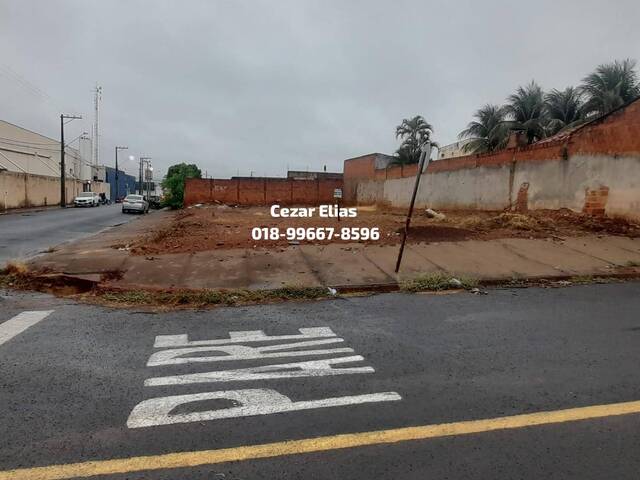 #186 - Área para Venda em Andradina - SP