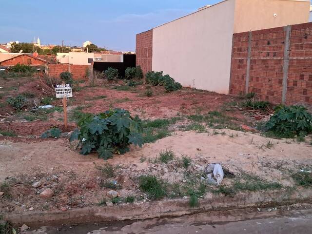 #196 - Área para Venda em Andradina - SP - 1