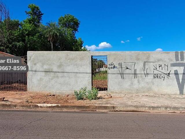 #204 - Área para Venda em Andradina - SP - 1