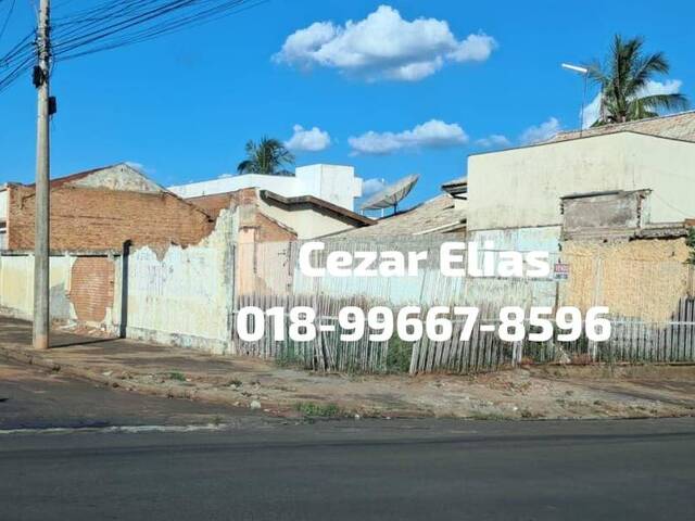 #205 - Área para Venda em Andradina - SP - 1